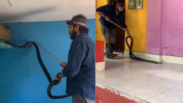 Karnataka family finds 9 foot King Cobra hiding in bedroom Video Goes Viral Viral Video: బెడ్‌రూమ్‌లో 9 అడుగుల కింగ్ కోబ్రా, ఎలా పట్టుకున్నారో చూడండి - వీడియో