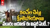 Tornado ravages Medaram forest | మేడారం అడవిలో వేలసంఖ్యలో పెలికించుకుపోయిన వృక్షాలు | ABP Desam