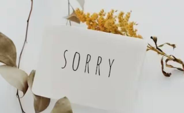 क्षमस्व म्हणजे 