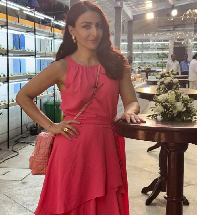 हलांकि उन्हें आमिर खान स्टारर फिल्म ‘रंग दे बसंती’ से पहचान मिली थी. इस फिल्म में उनकी एक्टिंग की खूब वाहवाही हुई थी.