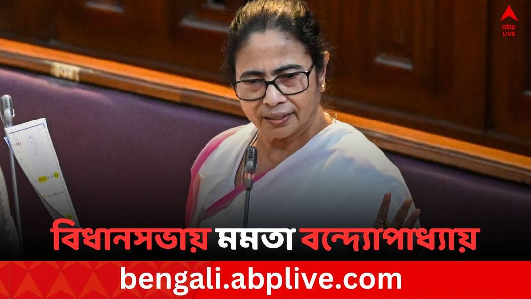BJP leader Dr Anirban Ganguly Attacks Mamata Banerjee for RG Kar Doctor death Case Anirban Ganguly Attacks Mamata Banerjee: 