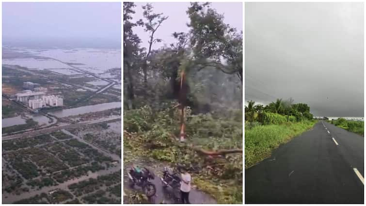 Telangana And Andhra Pradesh Latest Weather rains at mulugu khammam and vijayawada Weather Update: పొంచి ఉన్న వానగండం- ములుగులో భారీగా నేలకూలిన వృక్షాలు- సోమవారం వరకు స్కూల్స్‌కి సెలవులు