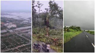 Weather Update: పొంచి ఉన్న వానగండం- ములుగులో భారీగా నేలకూలిన వృక్షాలు- సోమవారం వరకు స్కూల్స్‌కి సెలవులు