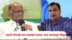 शरद पवार यांच्याकडून नितीन गडकरींचं कौतुक,म्हणाले ते स्वत: ला गुंतवून घेत बारकाईनं काम करतात...