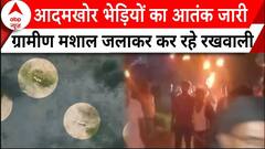 Baharaich Wolf Attack: यूपी में आदमखोर भेड़ियों का आतंक जारी, ग्रामीण मशाल जलाकर कर रहे रखवाली | ABP