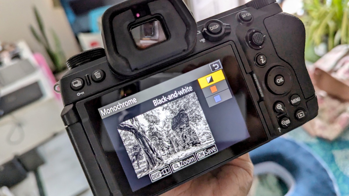 Nikon Z6III Review: Solving Shutter Woes With Simplicity & Style