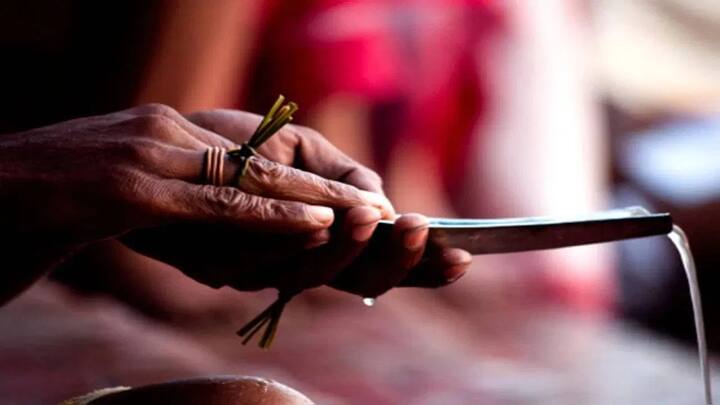 पितृ पक्षापूर्वी घरात अचानक पिंपळाचं झाड वाढणं आणि तुळस कोमेजणं, हे देखील अशुभ लक्षण मानलं जातं. या घटनांमधून पूर्वजांची नाराजी दिसून येते, असं मानलं जातं. याचा वाईट परिणाम धन, सुख, समृद्धी आणि तुमच्या मुलांवर होतो.