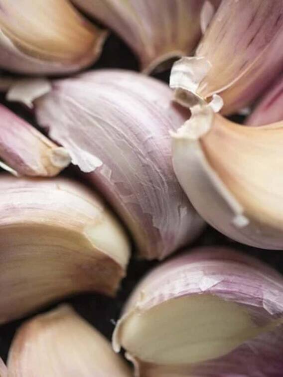 ऐसे करें लहसुन की खेती, लाखों में होगी कमाई