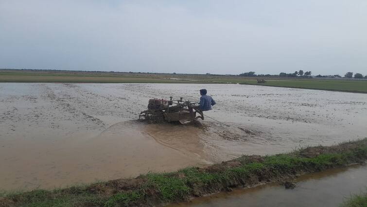 Agriculture news Farmers are busy cultivating samba in Thanjavur district - TNN ரெடி... ஸ்டார்ட்... நாங்க ரெடியாகிட்டோம்: ஒரு போக சம்பா சாகுபடியில் மும்முரம் காட்டும் விவசாயிகள்