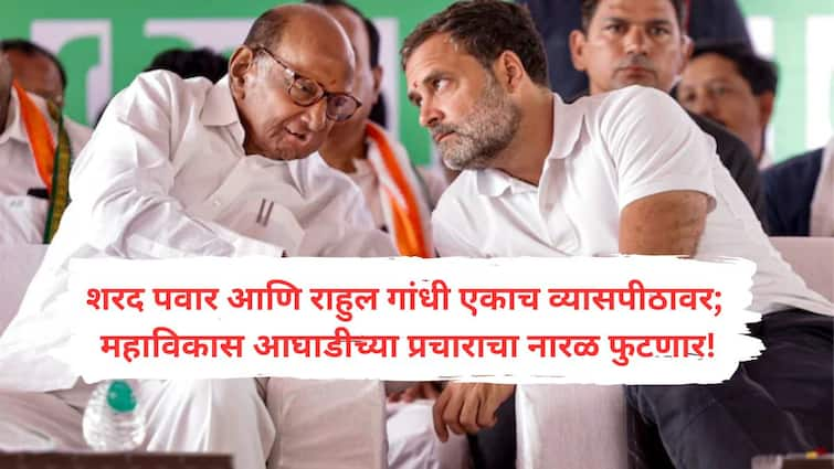 Sharad Pawar and Rahul Gandhi on the same platform in Sangli Mahavikas Aghadi seat allocation and campaign will also burst Rahul Gandhi and Sharad Pawar In Sangli : शरद पवार आणि राहुल गांधी आज सांगलीत एकाच व्यासपीठावर; महाविकास आघाडीच्या जागावाटपाचा अन् प्रचाराचा सुद्धा नारळ फुटणार!