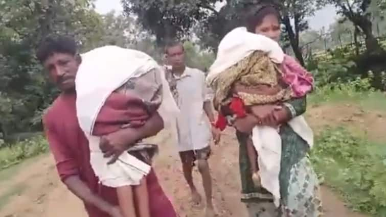 Maharashtra Parents Carry Sons' Bodies On Their Shoulders For 15 Km Due To Absence Of Ambulance Video Maharashtra: Parents Carry Sons' Bodies On Their Shoulders For 15 Km Due To Absence Of Ambulance — Video