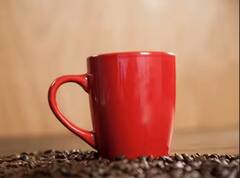 Teacher's Day 'ਤੇ ਆਪਣੇ ਅਧਿਆਪਕ ਨੂੰ ਇਹ ਵਿਸ਼ੇਸ਼ ਤੋਹਫ਼ਾ ਦੇ ਕੇ ਕਰਵਾਓ ਖ਼ਾਸ ਹੋਣ ਦਾ ਅਹਿਸਾਸ