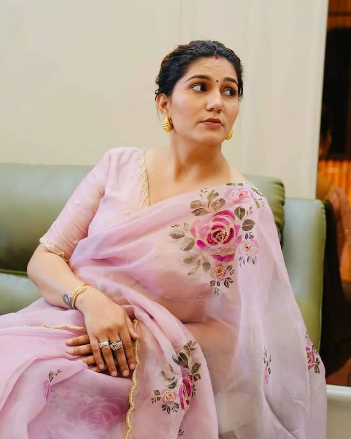 इस बात से तो सभी वाकिफ हैं कि सपना चौधरी ने बेहद कम उम्र में घर का गुजारा चलाने के लिए स्टेज शो करना शुरू कर दिया था और आगे चलकर इसी को अपना करियर भी बना लिया.