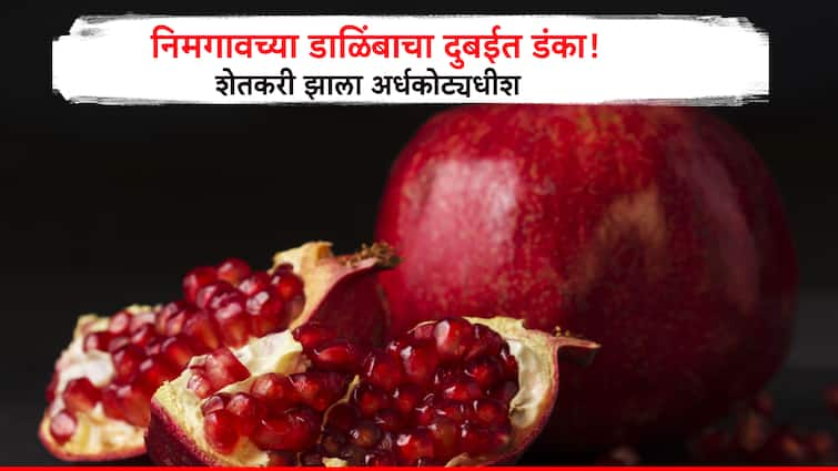 Farmer success story Maharashtra Nimgaon pomegranate farmers earned 52 lakh rupees by export pomegranate in the Dubai market Maharashtra Agriculture success Success story: तीन एकरातलं डाळिंब विकलं दुबईच्या बाजारात, निमगावच्या शेतकऱ्यांनं कमावले 52 लाख रुपये! 