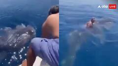 अवतार फिल्म की तरह समुद्र में व्हेल की सवारी करने लगा शख्स, हैरान कर देगा ये वायरल वीडियो