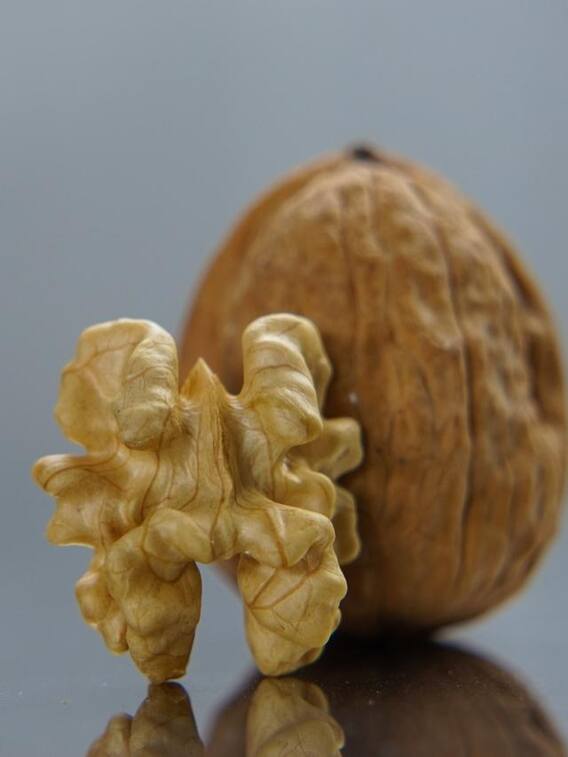 ਅਖਰੋਟ ਖਾਣ ਦਾ ਸਹੀ ਤਰੀਕਾ ਤੇ ਸ਼ਾਨਦਾਰ ਫਾਇਦੇ: ਦਿਮਾਗ ਤੋਂ ਦਿਲ ਤੱਕ ਸਿਹਤ ਦਾ ਰਾਖਾ