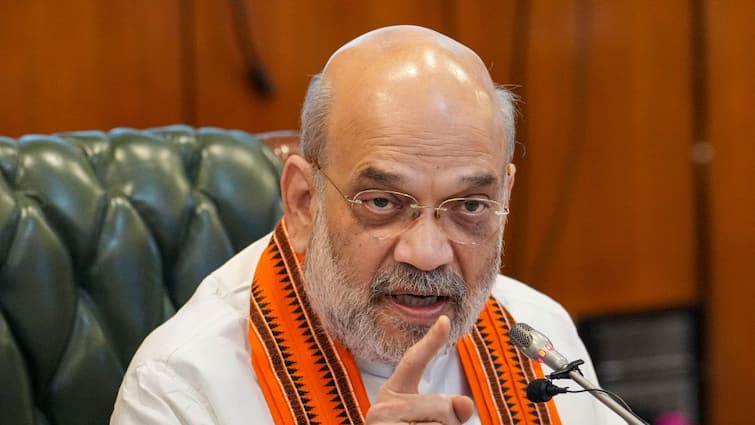 Bangladesh Unrest VHP Leader Seers Meet Amit Shah Over Attacks On Hindus VHP Leader, Seers Meet Amit Shah Over 'Attacks On Hindus In Bangladesh', Submit Memorandum