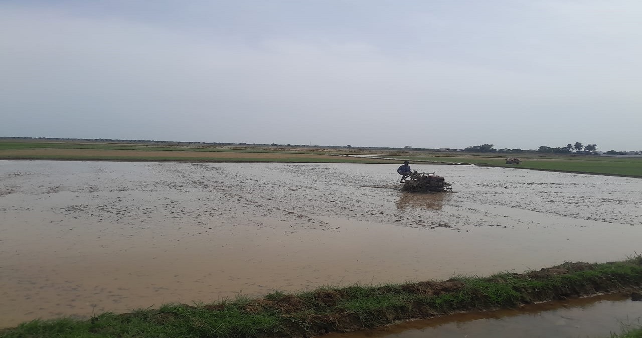 ரெடி... ஸ்டார்ட்... நாங்க ரெடியாகிட்டோம்: ஒரு போக சம்பா சாகுபடியில் மும்முரம் காட்டும் விவசாயிகள்