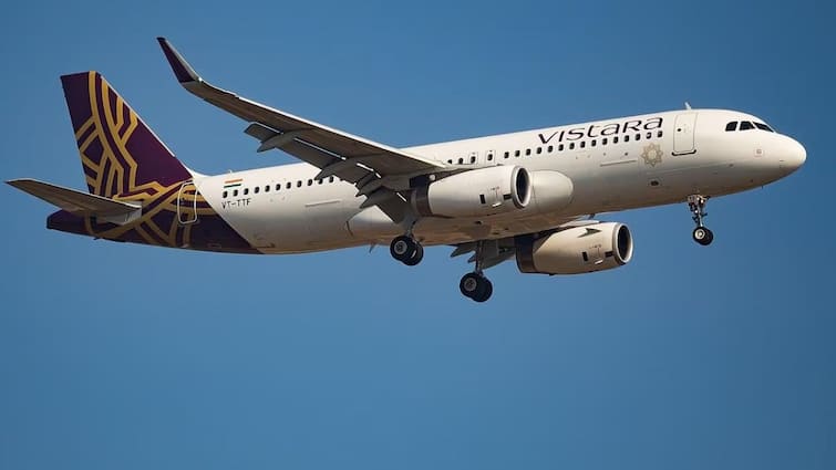 Vistara flight UK 27 operating from Mumbai to Frankfurt on 06 Sept 2024 has been diverted to Turkey Vistara flight Mumbai to Frankfurt : बॉम्बच्या धमकीचा मेसेज मिळताच मुंबईहून फ्रँकफर्टला जाणारं विमान तुर्कीला वळवलं