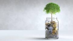 Small Savings Scheme: আগামী মাস থেকে বদলে যাবে নিয়ম- পিপিএফ, সুকন্যা সমৃদ্ধি যোজনায় কী কী সুবিধে ?