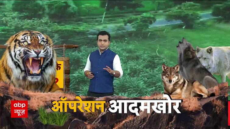 Operation Aadamkhor: Wolf Assault In Bahraich Reaches Its Peak, Watch Floor Report | ABP Information