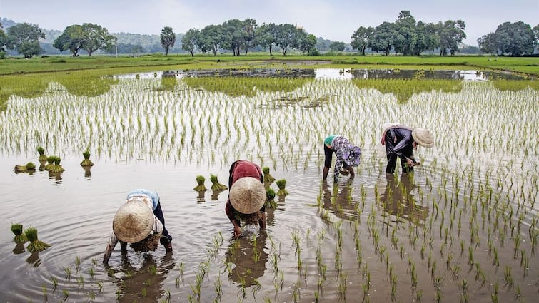 Govt Clears 14,000 Cr for 7 New Schemes to Boost Agriculture & Farmer Income விவசாயிகளின் வருவாயை அதிகரிக்க ரூ.14,000 கோடியில் 7 புதிய வேளாண் திட்டங்கள் - விவரம் இதோ!