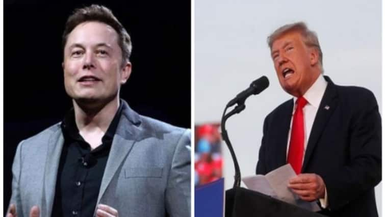 Republican candidate Donald Trump said that if he becomes president he will appoint Elon Musk as the chairman of Government Efficiency Commission अगर ट्रम्प बने राष्ट्रपति तो और ताकतवर हो जाएंगे एलन मस्क, मिलेगी ये बड़ी जिम्मेदारी!