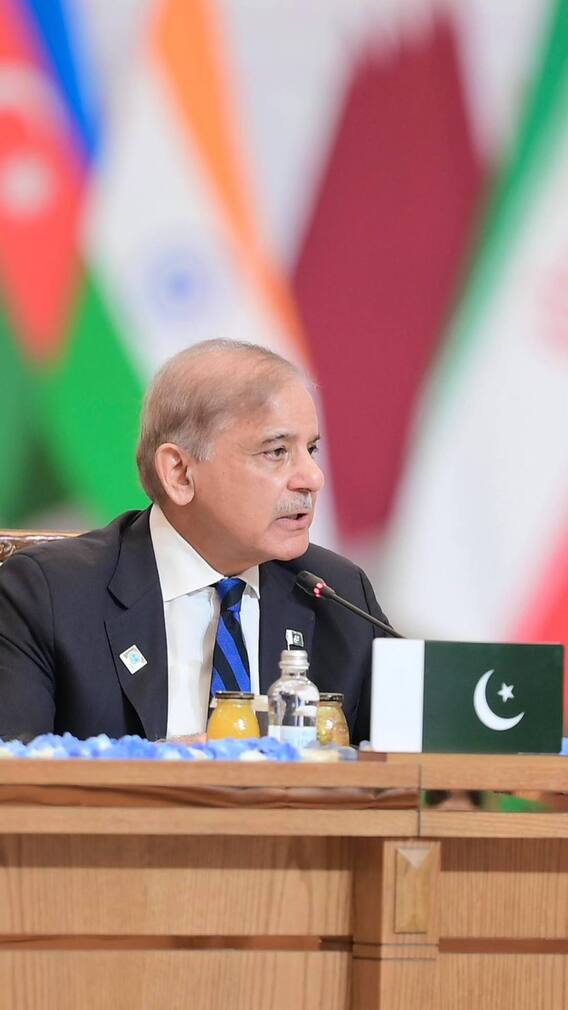 इस देश की सरकार चूहों से हुई परेशान, जानें क्यों