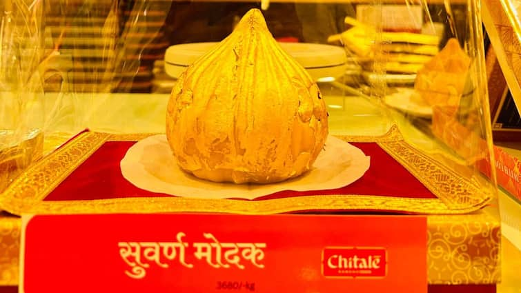 On the occasion of Ganeshotsav this year Chitale Bandhu Mithaiwales special Suvarna Modak Know what is the type of Modak गणेशोत्सवानिमित्त यंदा चितळे बंधू मिठाईवालेंचा खास 'सुवर्ण मोदक’; जाणून घ्या काय आहे मोदकाचा प्रकार