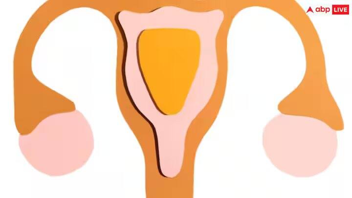 પ્રાઈવેટ પાર્ટની કાળાશ દૂર કરવા માટે તમે તેના પર ચણાનો લોટ પણ લગાવી શકો છો. કારણ કે ચણાનો લોટ ત્વચાને એક્સફોલિયેટ કરે છે. અને તે મૃત ત્વચાને પણ દૂર કરે છે. તેનાથી પ્રાઈવેટ પાર્ટની કાળાશ દૂર થાય છે.