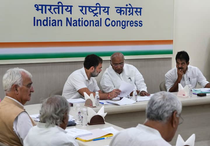 मीटिंग के दौरान कांग्रेस सांसदों से उम्मीदवारों के नाम पर राय ली गई. हालांकि, AAP से गठजोड़ पर फैसला नहीं हुआ.
