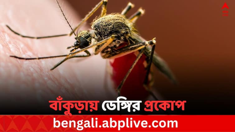 19 person affected for dengue In Bankura Dengue In Bankura: বর্ষা বিদায় নিতেই ডেঙ্গির প্রকোপ বাঁকুড়ায়, পরিস্থিতি সামাল দিতে তৎপর পুরসভা