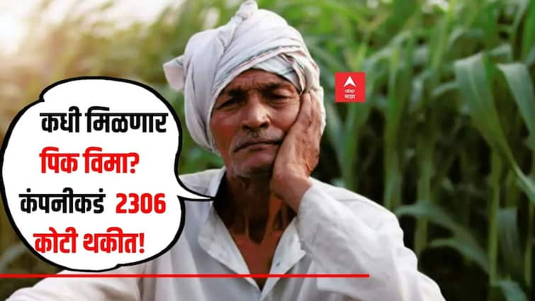 Swatantra Bharat Paksh march to Agriculture Commissioner office in Pune on September 9 for crop insurance dues Crop Insurance : विमा कंपनीकडं 2 हजार 306 कोटी थकीत, 21 लाखाहून अधिक शेतकरी पिक विम्यापासून वंचित, कृषी आयुक्त निघणार कार्यालयावर मार्चा 