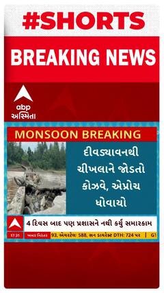 Dang Causeway Flood | ડાંગમાં ભારે વરસાદ બાદ કોઝવે અને એપ્રોચ ધોવાયા