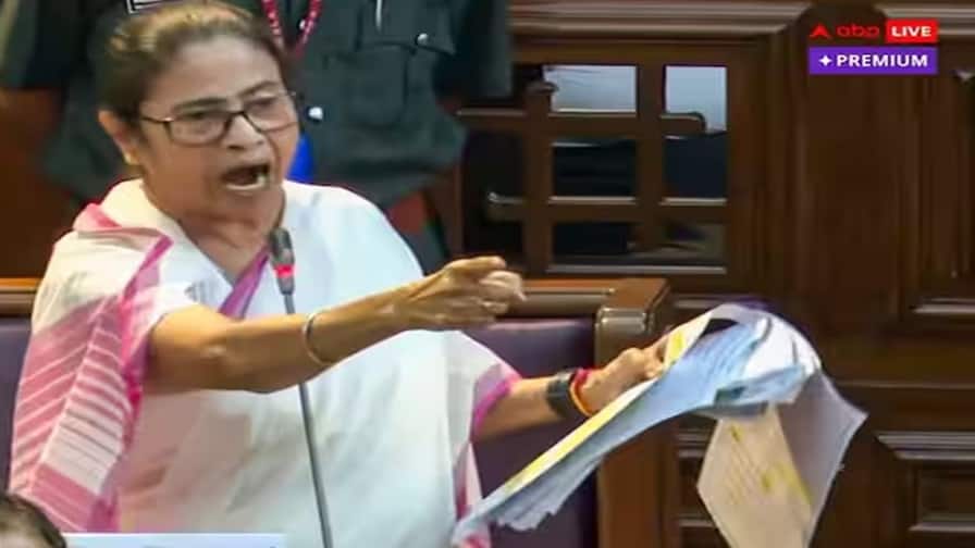 ફક્ત કાયદાથી રોકાશે નહી રેપની ઘટનાઓ, અગાઉ પણ હતો કાયદો, જાણો ક્યાં છે ખામીઓ?