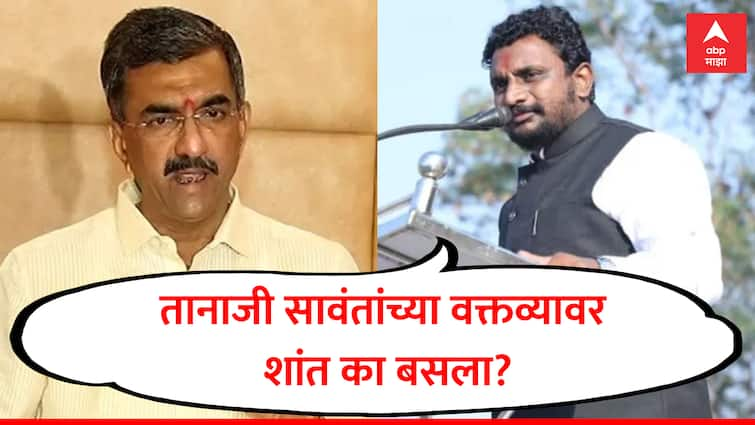 amol mitkari slams shambhuraj desai on ladki bahin ajit pawar photo banner tanaji sawant statement on ncp marathi अजितदादांच्या फोटोवर बोलणारे शंभूराज देसाई हे तानाजी सावंतांच्या वक्तव्यावर शांत का? अमोल मिटकरींचा सवाल