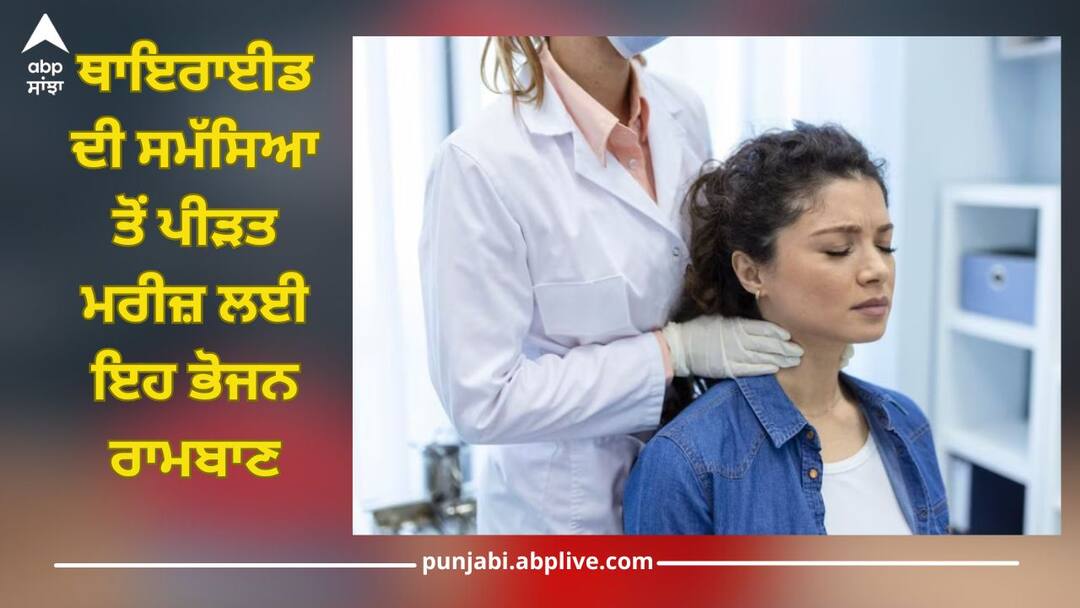 Thyroid Problems: ਥਾਇਰਾਈਡ ਦੀ ਸਮੱਸਿਆ ਤੋਂ ਪੀੜਤ ਮਰੀਜ਼ ਆਪਣੀ ਖੁਰਾਕ 'ਚ ਇਨ੍ਹਾਂ ਚੀਜ਼ਾਂ ਨੂੰ ਜ਼ਰੂਰ ਕਰਨ ਸ਼ਾਮਿਲ, ਮਿਲੇਗਾ ਫਾਇਦਾ Patients suffering from thyroid problems must include these things in their diet, they will get benefit Thyroid Problems: ਥਾਇਰਾਈਡ ਦੀ ਸਮੱਸਿਆ ਤੋਂ ਪੀੜਤ ਮਰੀਜ਼ ਆਪਣੀ ਖੁਰਾਕ 'ਚ ਇਨ੍ਹਾਂ ਚੀਜ਼ਾਂ ਨੂੰ ਜ਼ਰੂਰ ਕਰਨ ਸ਼ਾਮਿਲ, ਮਿਲੇਗਾ ਫਾਇਦਾ
