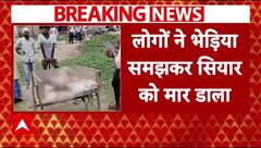 Ambedkarnagar में सियार ने 3 लोगों को किया घायल, लोगों ने भेड़िया समझकर मार डाला | Breaking News