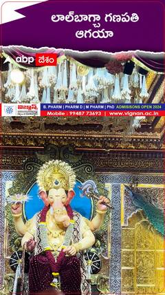 లాల్‌బగ్చా గణపతి ఆగయా..!