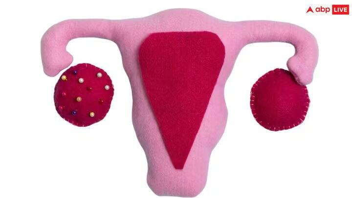 તમે લીંબુના રસમાં ગુલાબજળ મિક્સ કરીને પ્રાઈવેટ પાર્ટની કાળાશ દૂર કરી શકો છો. ગુલાબજળ પ્રાઈવેટ પાર્ટ્સને ફ્રેશ રાખે છે.