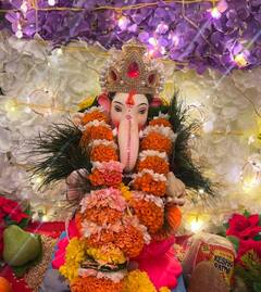 Ganesh Chaturthi 2024: ભોજપૂરી સ્ટાર મોનાલિસાએ ગણેશજીની પૂજા કરી, જુઓ તસવીરો