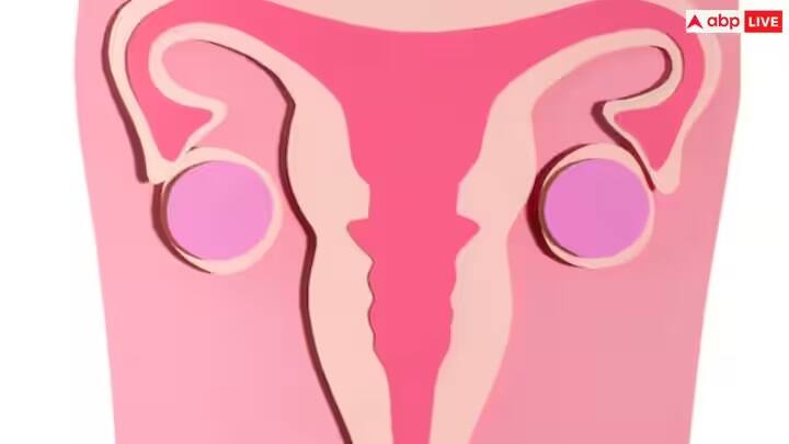 લીંબુ, દહીં, કોફી પાવડર અને હળદરનો ઉપયોગ કરીને ત્વચાના પિંગમેન્ટેશન ઠીક કરી શકાય છે.