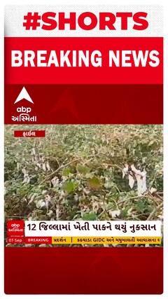 Gujarat Government | ભારે વરસાદના કારણે ખેતી પાકને થયેલા નુકસાન અંગે કૃષિ વિભાગે શરૂ કર્યો સર્વે