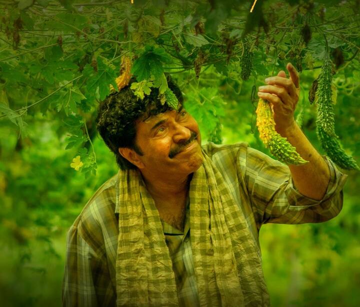 சமீபத்தில் நண்பகல் நேரத்து மயக்கம், கண்ணூர் ஸ்குவாட், பிரம்மயுகம் உள்ளிட்ட ஹிட்களை கொடுத்தார்.