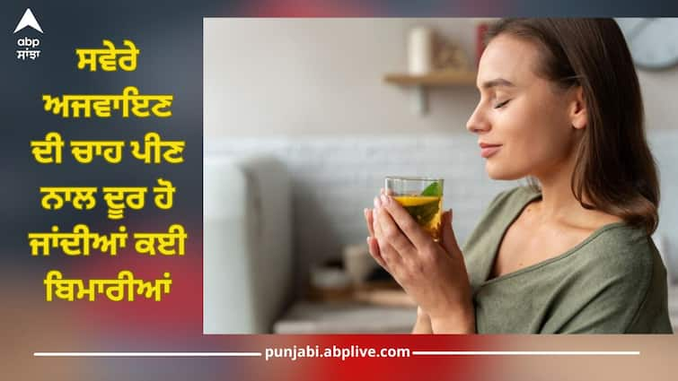 Drinking celery tea in the morning can cure many diseases and will also melt stubborn belly fat ਸਵੇਰੇ ਅਜਵਾਇਣ ਦੀ ਚਾਹ ਪੀਣ ਨਾਲ ਦੂਰ ਹੋ ਜਾਂਦੀਆਂ ਕਈ ਬਿਮਾਰੀਆਂ, ਨਾਲ ਹੀ ਪਿਘਲ ਜਾਏਗੀ ਢਿੱਡ ਦੀ ਜ਼ਿੱਦੀ ਚਰਬੀ