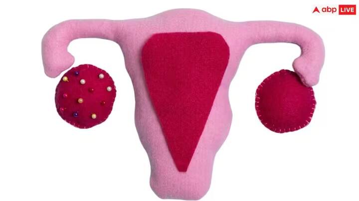 પ્રાઈવેટ પાર્ટની ત્વચા ચહેરા કરતાં વધુ નાજુક હોય છે, તેથી તેને સાફ કરવા માટે ક્યારેય પણ હાર્ડ શેમ્પૂનો ઉપયોગ ન કરવો જોઈએ.