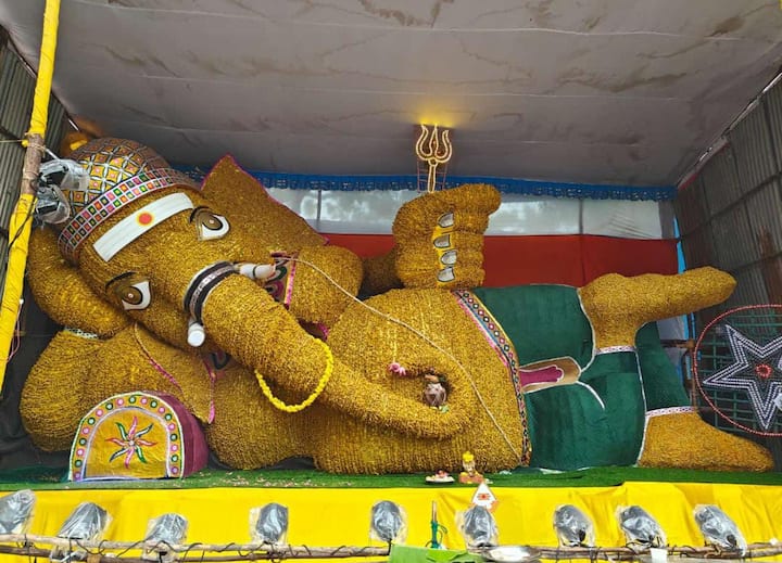 கொளத்தூரில் மஞ்சளால் உருவாக்கப்பட்ட மஞ்சள் விநாயகர் சாய்ந்தபடி உள்ளார்.