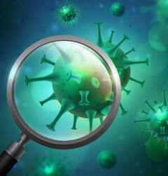 ਚੀਨ ਦੀ ਜਿਸ ਲੈਬ ਤੋਂ ਕੋਰੋਨਾ ਹੋਇਆ ਸੀ ਲੀਕ, ਹੁਣ ਉਸੇ ਲੈਬ ਤੋਂ ਇੱਕ ਹੋਰ ਘਾਤਕ ਵਾਇਰਸ Leak, ਮੱਚ ਗਈ ਤਰਥੱਲੀ