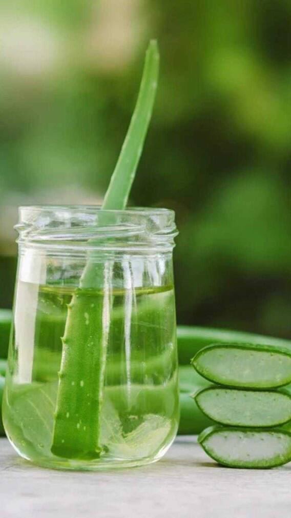 పరగడుపున అలోవెరా జ్యూస్ తాగొచ్చా?