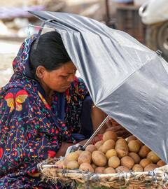 अभी और सताएगी गर्मी? वैज्ञानिकों का दावा 2024 बन सकता है सबसे गर्म साल